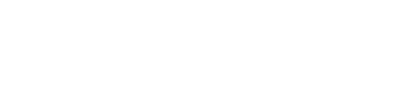 Sata consulting – SAP Partner